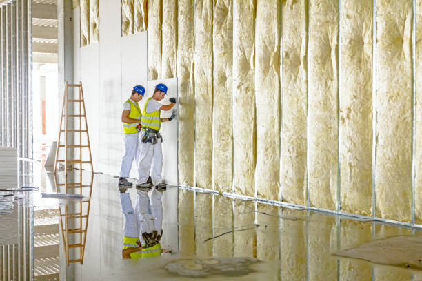 Types of Insulation We Offer in Eden, NC